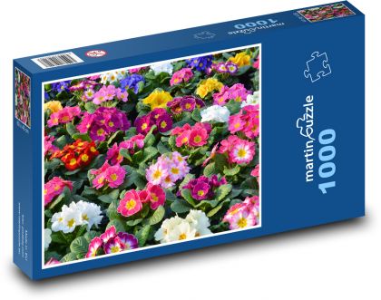Kvety - Primrose - Puzzle 1000 dielikov, rozmer 60x46 cm
