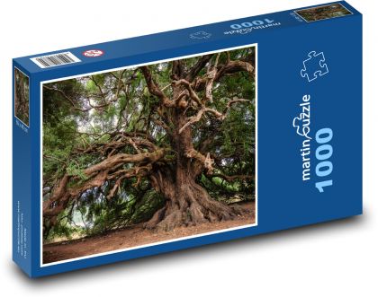 Olivovník, strom - Puzzle 1000 dílků, rozměr 60x46 cm