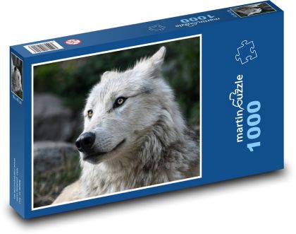 Vlk - divoké zvíře - Puzzle 1000 dílků, rozměr 60x46 cm