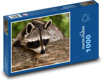 Szop w lesie na drzewie - Puzzle 1000 elementów, rozmiar 60x46 cm