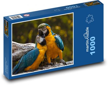 Papoušci - Ara - Puzzle 1000 dílků, rozměr 60x46 cm