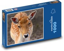 Daněk evropský, mládě Puzzle 1000 - 60x46 cm