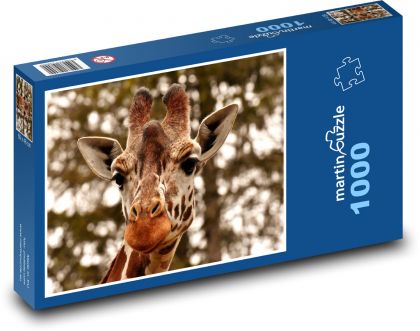 Giraffe - Puzzle 1000 pieces, size 60x46 cm 