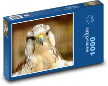 Falcon-Jagd - Greifvögel Puzzle 1000 Teile - 60 x 46 cm