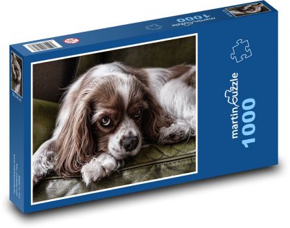King Charles Spaniel - Dog - Puzzle 1000 pieces, size 60x46 cm 
