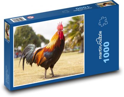 The cock - bird - Puzzle 1000 pieces, size 60x46 cm 