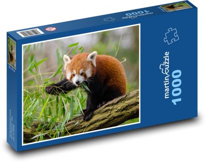 Panda červená - zvíře - Puzzle 1000 dílků, rozměr 60x46 cm