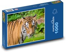 Tiger - animal Puzzle 1000 pieces - 60 x 46 cm 