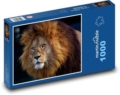 Lev - zvíře - Puzzle 1000 dílků, rozměr 60x46 cm