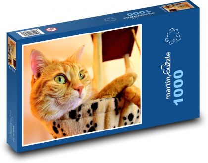 Mačka - Puzzle 1000 dielikov, rozmer 60x46 cm