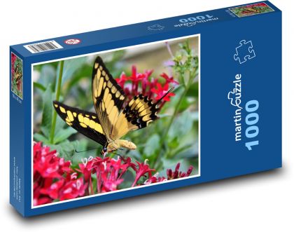 Motýl - Otakárek fenyklový - Puzzle 1000 dílků, rozměr 60x46 cm