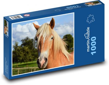 Kůň - Puzzle 1000 dílků, rozměr 60x46 cm