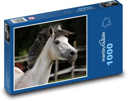 Elegant white horse, head detail - Puzzle 1000 pieces, size 60x46 cm 