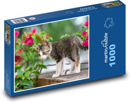 Cat - Puzzle 1000 pieces, size 60x46 cm 