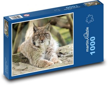 Rys ostrovid - ležící na sklále - puzzle 1000 dílků