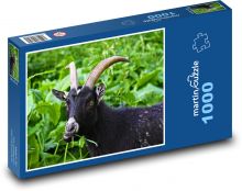 Černá koza s velkými rohy Puzzle 1000 - 60x46 cm