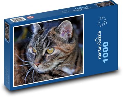 Mačka s bielou bradou - Puzzle 1000 dielikov, rozmer 60x46 cm