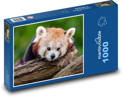 Panda červená - Puzzle 1000 dílků, rozměr 60x46 cm