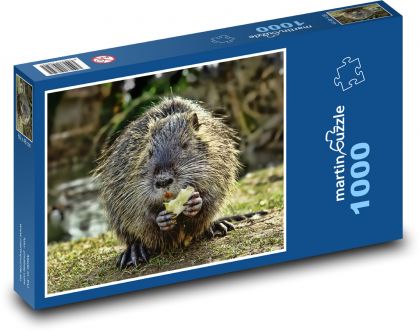 Beaver - Puzzle 1000 pieces, size 60x46 cm 