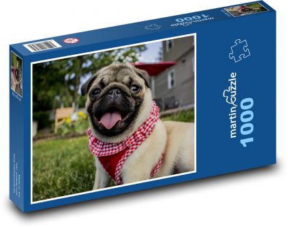 Pug, dog with tongue sticking out - Puzzle 1000 pieces, size 60x46 cm 