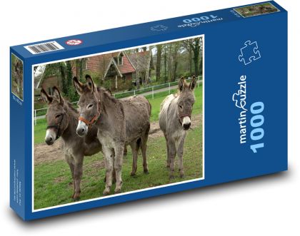 Esel - Puzzle - 1000 Teile