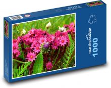 Rakousko - Horské květiny Puzzle 1000 dílků - 60 x 46 cm