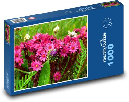 Rakousko - Horské květiny - Puzzle 1000 dílků, rozměr 60x46 cm