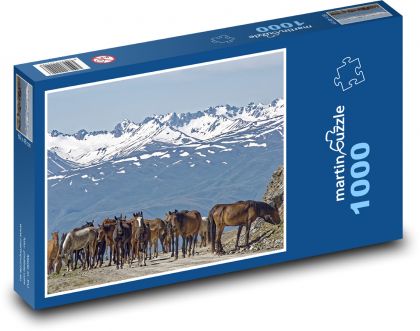 Kyrgyzstán - koně - Puzzle 1000 dílků, rozměr 60x46 cm