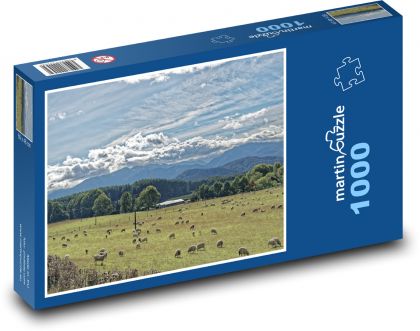 Nový Zéland - ovce - Puzzle 1000 dílků, rozměr 60x46 cm