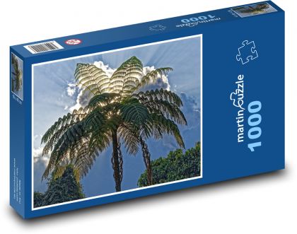 Kolumbie - palma - Puzzle 1000 dílků, rozměr 60x46 cm