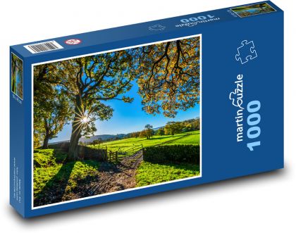 Yorkshire, slunečný podzim - Puzzle 1000 dílků, rozměr 60x46 cm