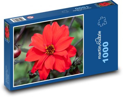 Červená květina - Puzzle 1000 dílků, rozměr 60x46 cm