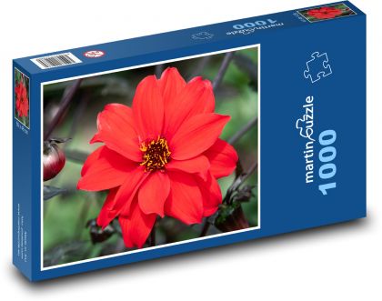 rote Blume - Puzzle - 1000 Teile