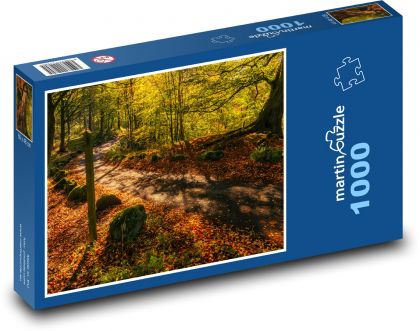 Eine Straße, die mit farbigen Blättern hinterfüllt ist - Puzzle - 1000 Teile