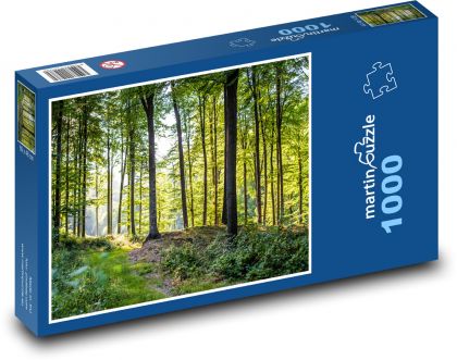 Přiroda, stromy, les - Puzzle 1000 dílků, rozměr 60x46 cm
