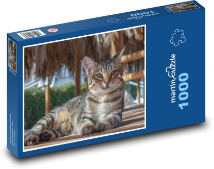 Zwierzęta - cat - Puzzle 1000 elementów, rozmiar 60x46 cm