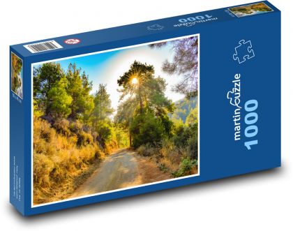 Road through the woods - Puzzle 1000 pieces, size 60x46 cm 