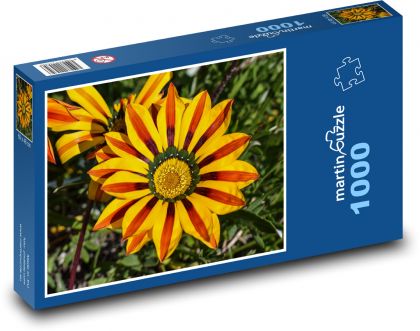 Kvetina - Gazania - Puzzle 1000 dielikov, rozmer 60x46 cm