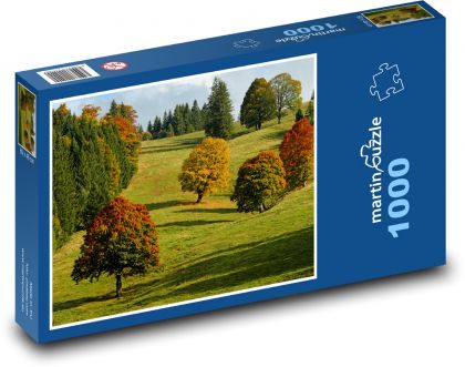 Podzim, příroda - Puzzle 1000 dílků, rozměr 60x46 cm