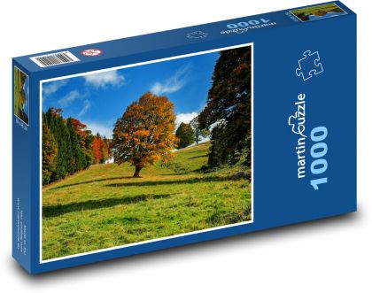 Nature, autumn, tree - Puzzle 1000 pieces, size 60x46 cm 