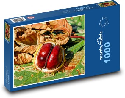 Kasztan jesienny - Puzzle 1000 elementów, rozmiar 60x46 cm