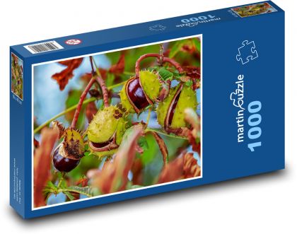 Dojrzałe kasztany na drzewie - Puzzle 1000 elementów, rozmiar 60x46 cm