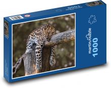 Jaguár odpočívající na stromě Puzzle 1000 - 60x46 cm