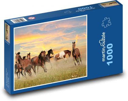 Dzikie konie - Puzzle 1000 elementów, rozmiar 60x46 cm
