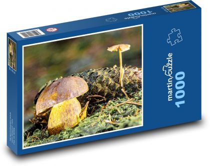 Příroda - houby - Puzzle 1000 dílků, rozměr 60x46 cm