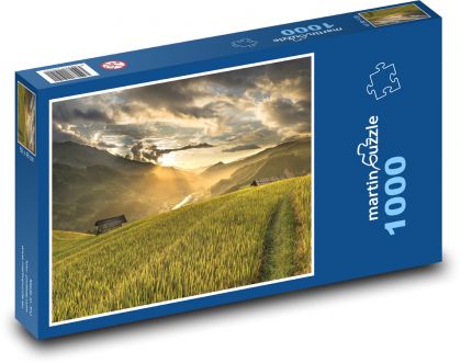 Vietnam - rice field - Puzzle 1000 pieces, size 60x46 cm 