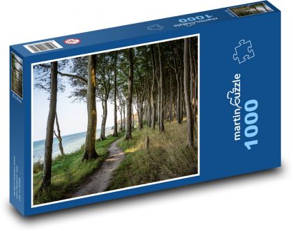 Les, stromy - Puzzle 1000 dílků, rozměr 60x46 cm