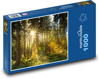 Les, slunce, stromy - Puzzle 1000 dílků, rozměr 60x46 cm