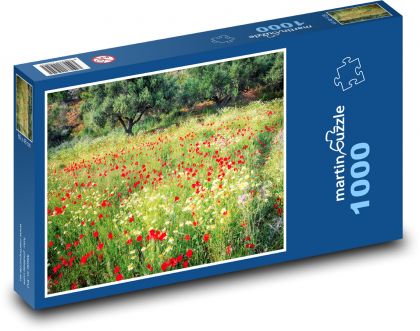 Poppies in the grass - Puzzle 1000 pieces, size 60x46 cm 