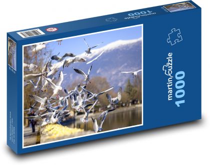 Vögel - Möwe - Puzzle - 1000 Teile